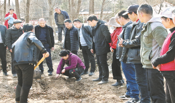 亳州玄參落戶頁山河