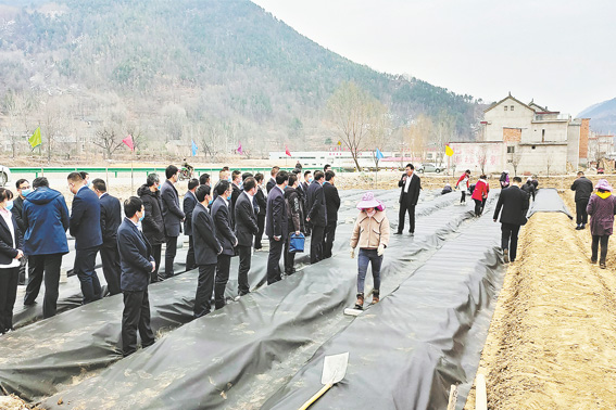 云蒙山村建設(shè)木耳產(chǎn)業(yè)園