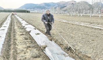 人勤春來早 田間農(nóng)事忙