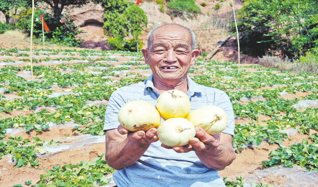 石門(mén)溝村瓜果飄香季 田園采摘忙