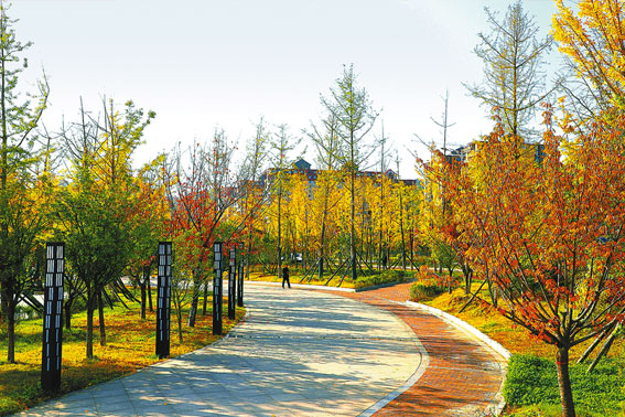 從只有一個公園到公園“遍地開花”