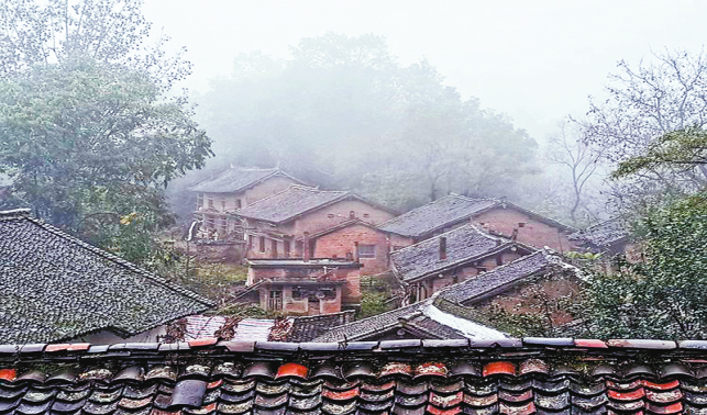 楊山訪古村