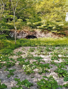 熊耳山國(guó)營(yíng)煤礦建礦記